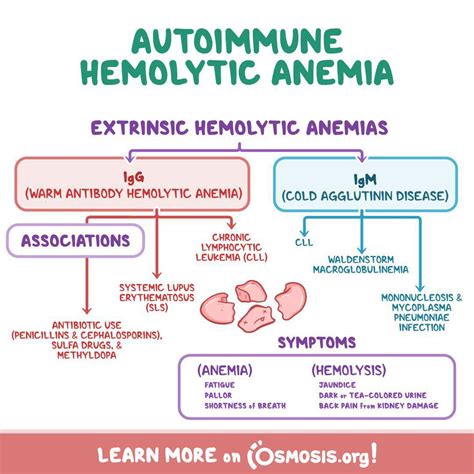 alemia|Anaemia